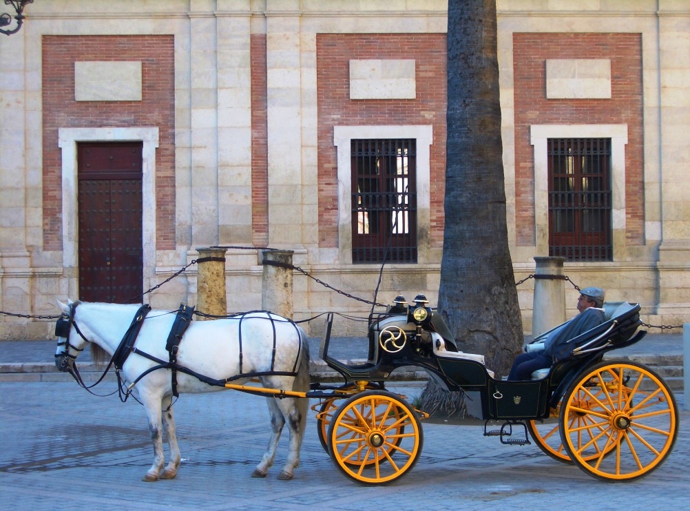 Méditerranée musulman omeyyade Andalus reconquista Andalousie Andalucia Guadalquivir Cordoue Séville Mezquita L'heure de la siesta en attendant les touristes au coeur de Cordoue 