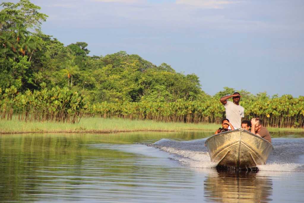 Bestglobe Mes Frissons Au Cœur Du Marais De Kaw En Guyane