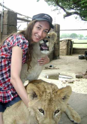 Interaction avec des "bébés" lions lors d'un safari en Afrique du Sud en 2010