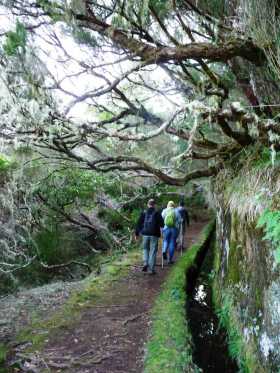 Madère Portugal levadas Des milliers de kms de sentiers longeant des canaux dans les montagnes