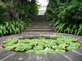 Réunion Conservatoire national Mascarin L'entrée forestière du jardin botanique 