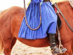 Hongrie Puszta équitation  Robe bleue azur plissée d'un csiko sur robe alezan cuivré d'un nonius