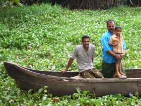 Le Kerala (Inde) est célèbre par ses "backwaters", dense réseau de canaux