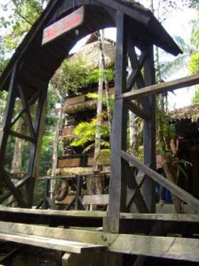 Tapir Lodge : une des "tours" vue du débarcadère Equateur Amazonie Tapir Lodge : une des "tours" vue du débarcadère