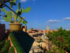 Un enchevêtrement de terrasses paisibles dominant la médina de Marrakech Maroc Un enchevêtrement de terrasses paisibles dominant la médina de Marrakech