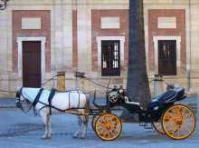 Méditerranée musulman omeyyade Andalus reconquista Andalousie Andalucia Guadalquivir Cordoue Séville Mezquita L'heure de la siesta en attendant les touristes au coeur de Cordoue 