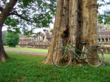 Asie du sud est Cambodge Angkor Khmer Siem Reap Le vélo est roi dans les ruines d'Angkor