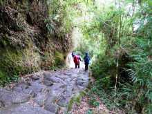 Le Chemin de l'Inca parcouru par Tifaine et Hervé vers le Machu Pichu (photo 1monde1backpack)