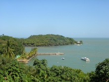 Paysage verdoyant aux Îles du Salut (Guyane)