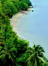 Environnement nature Une petite plage encore sauvage comme on peut en trouver en Thaïlande 