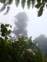 La tour fantôme de Gunung Brinchang  près de Cameron Highland en Malaisie