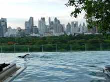 Thaïlande Bangkok So Sofitel Accor Le piscine au-dessus du sommet des arbres