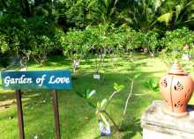 "Jardin d'amour" dans le jardin d'un hôtel de Koh Phi Phi en Thaïlande : chaque couple qui se marie ici est invité à planter un arbre 