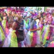 Embedded thumbnail for Carnaval Fort de France 2013 en Martinique