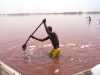 Afrique de l'Ouest Sénégal Lac Rose production de sel salines Gratter le sel au fond du lac, un travail de forçat qui développe une vraie musculation