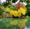 France Ile de France forêt automne couleurs jaune orangé impressionisme Bord de Marne à Noisiel 