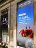 L'exposition sur les crabes au Museum du Jardin des plantes de Paris
