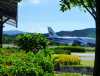 aéroports biodiversité Des fleurs, des plans d'eaux, des arbres, une végétation tropicale entre les pistes de l'aéroport de Koh Samui en Thaïlande 